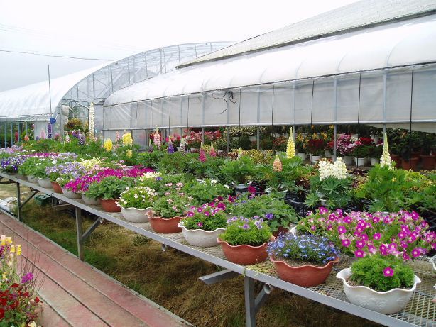 20080603TP5310019.JPG